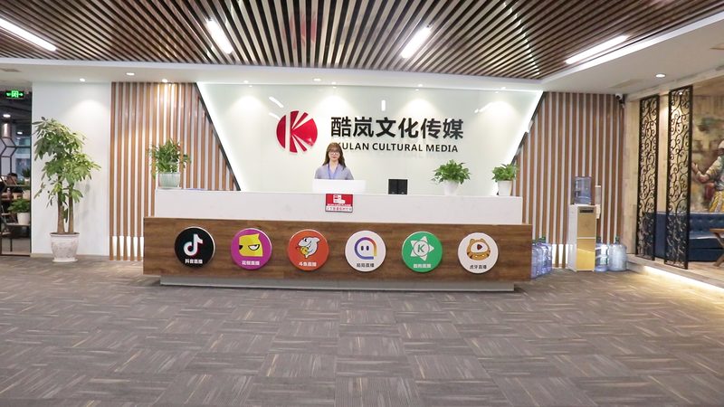 代理公司优势：专业、高效、合规