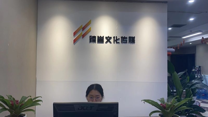 企业宣传片分类解析：揭秘十大品牌特色与选择要点